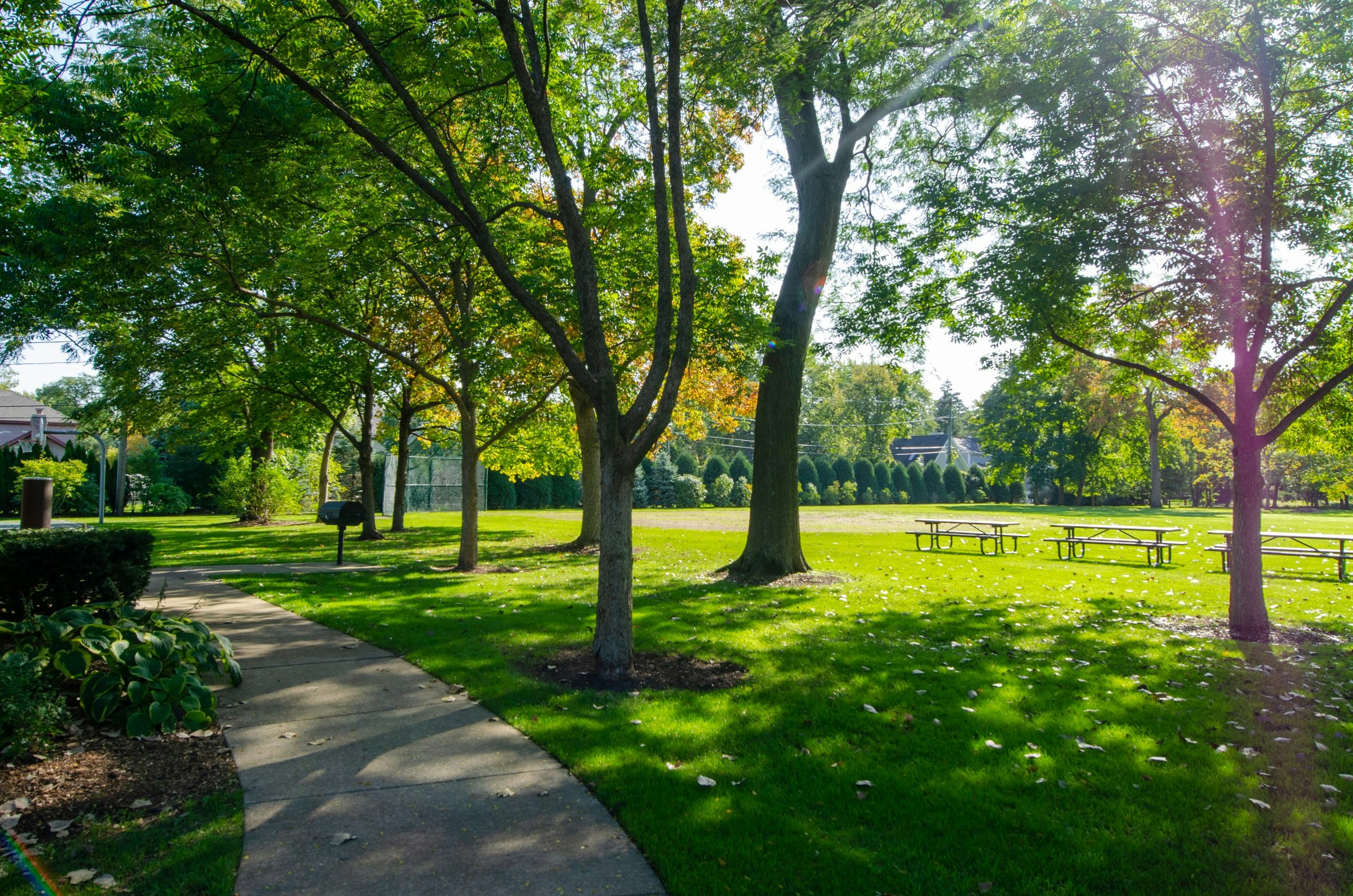 Diederich Park | glenviewparkdistrict.org