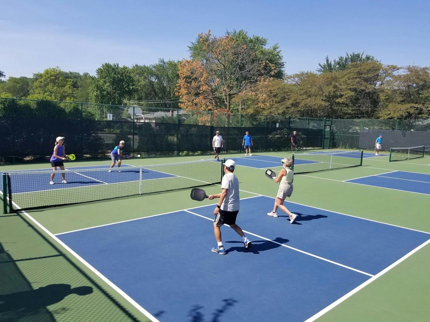 Play Pickleball at Flick Park: Court Information | Pickleheads